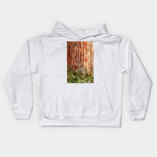 Rain Forest Kids Hoodie